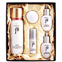 WHOO����ѭ������5����װ