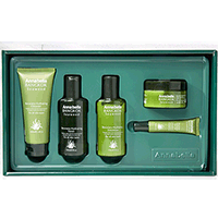 ANNABELLA���ȱ������岣���������-�ؼ�